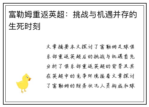 富勒姆重返英超：挑战与机遇并存的生死时刻